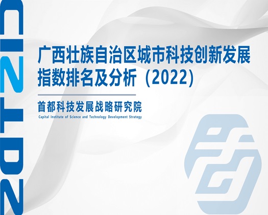 丝袜胸大美女被操网站【成果发布】广西壮族自治区城市科技创新发展指数排名及分析（2022）